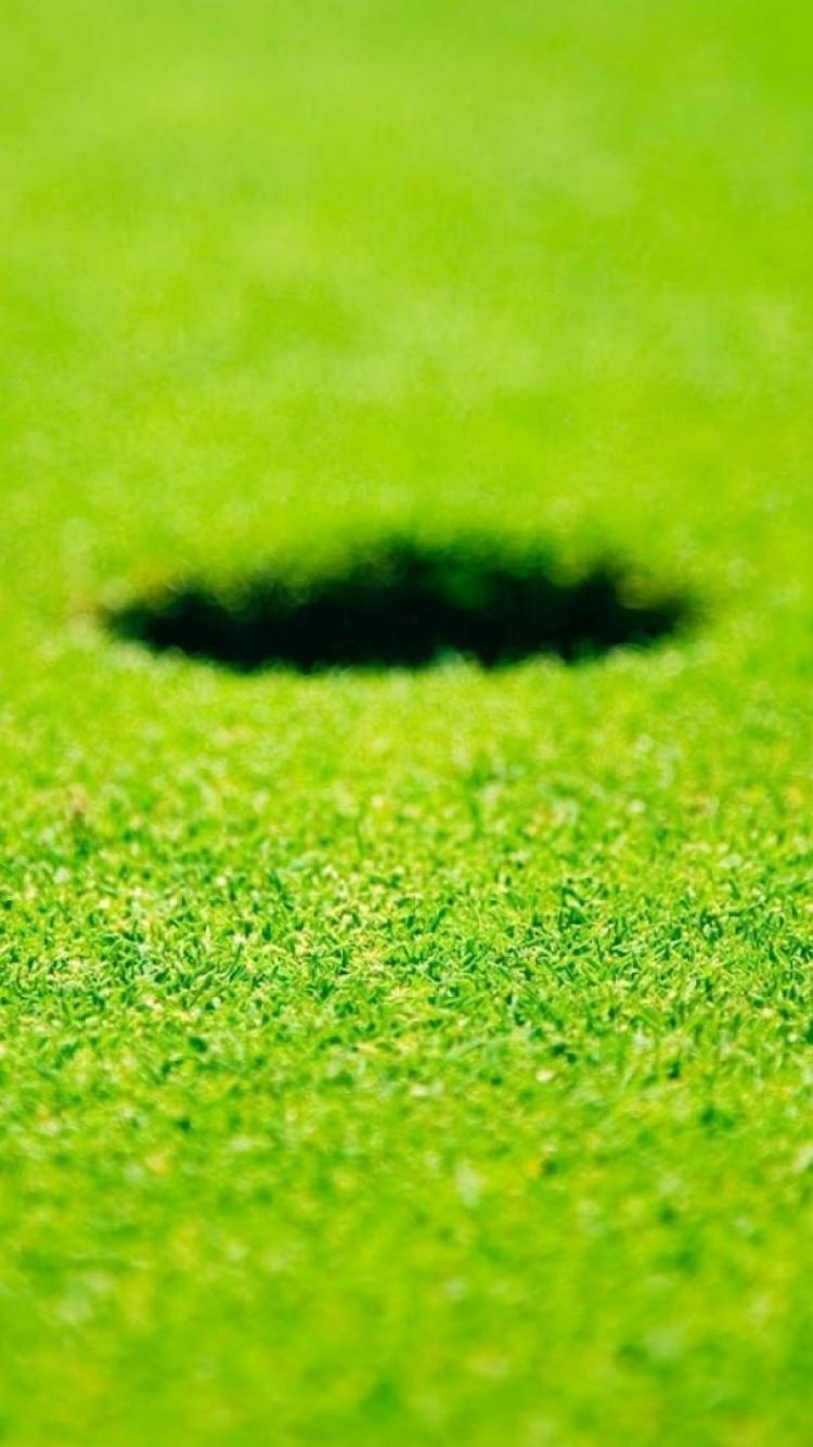 Background balls golf course grass wallpaper