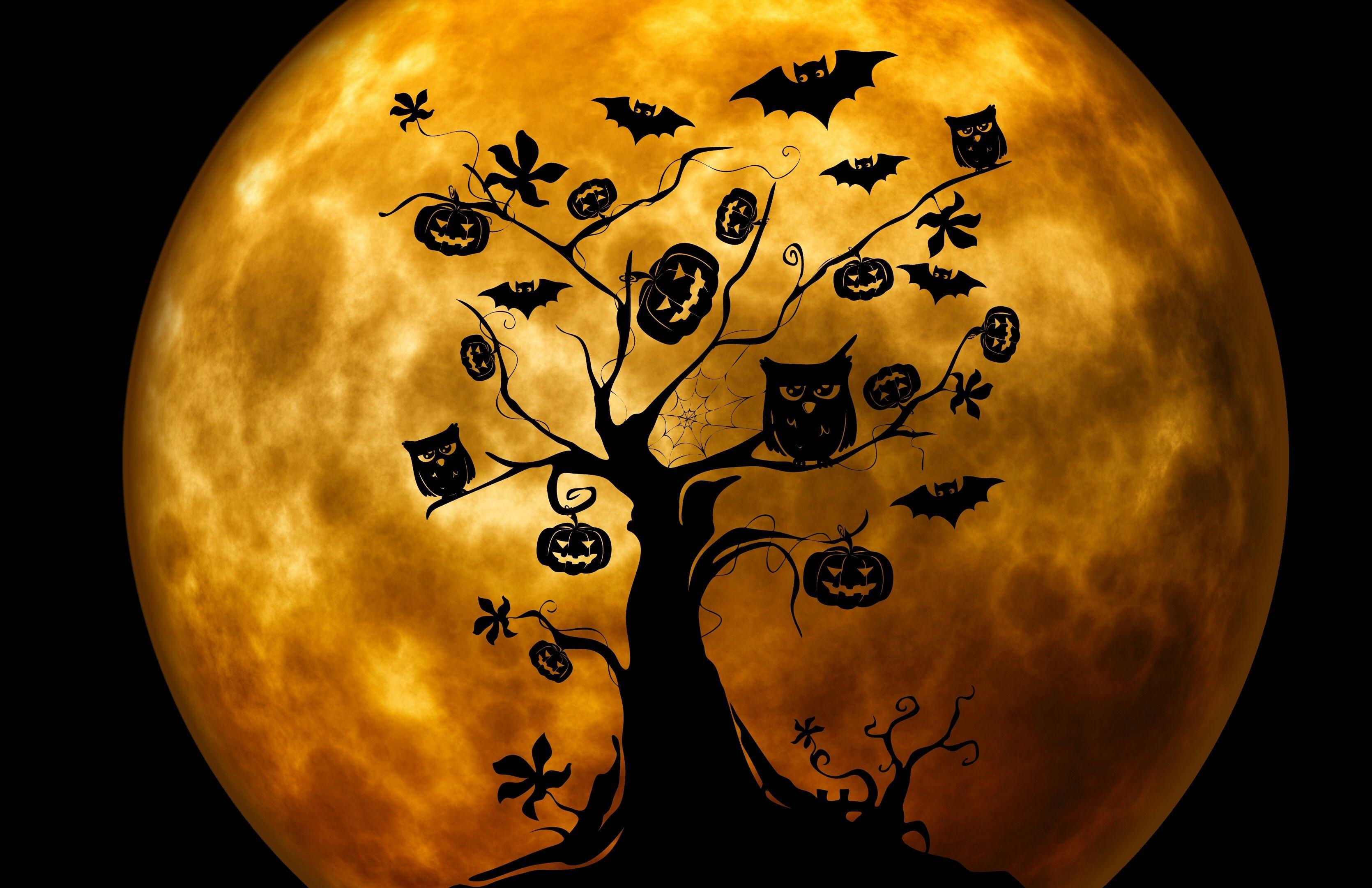 Halloween Tree and Orange Moon Full HD Wallpaper and Background