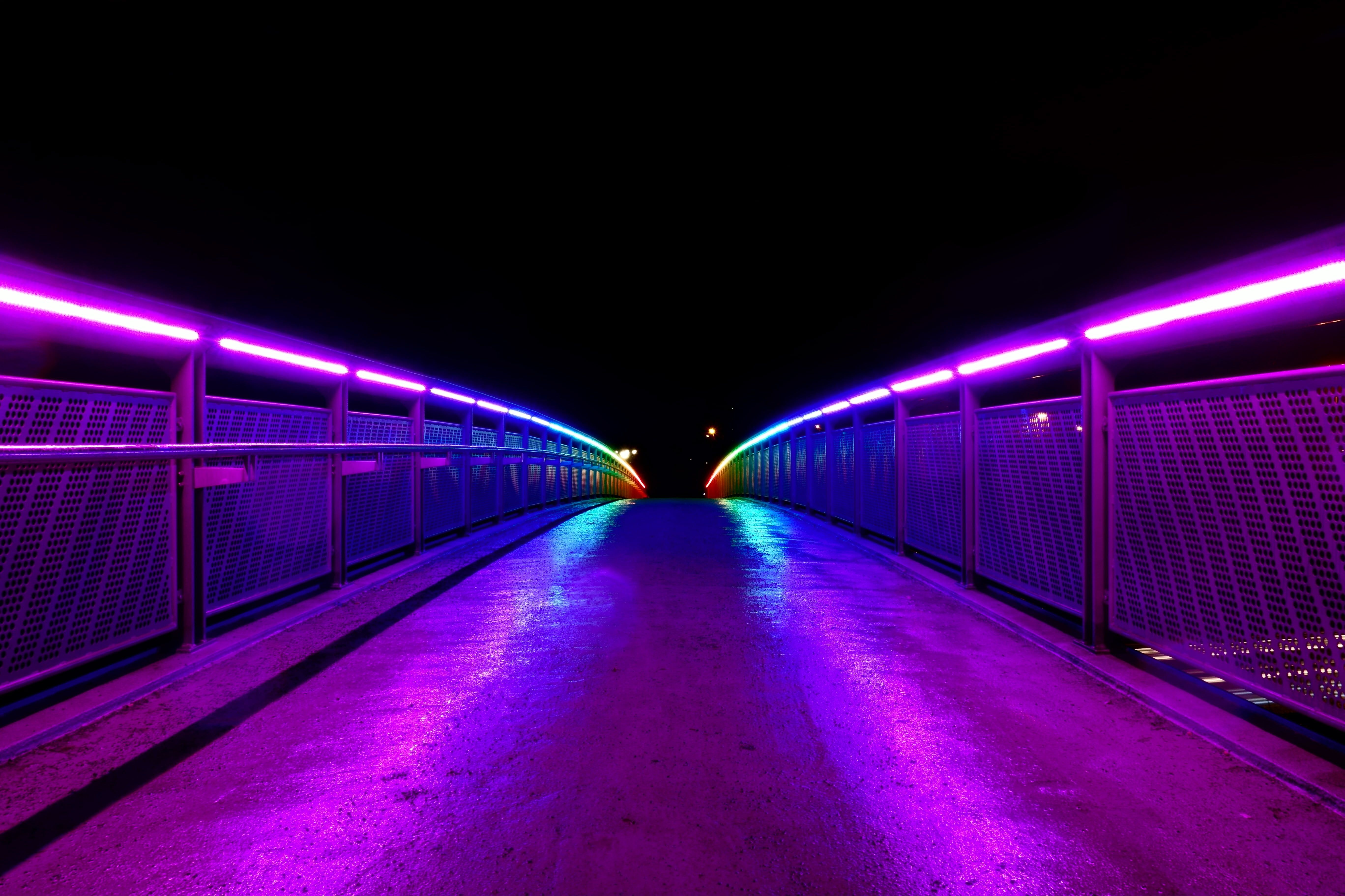 Purple neon light, Bridge, Lights, Railings HD wallpaper. Wallpaper