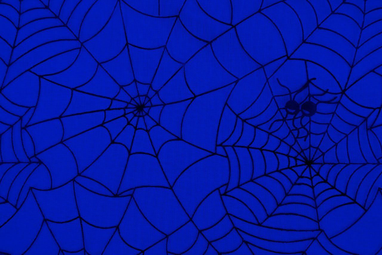 Spider Web Pattern Free Domain Picture