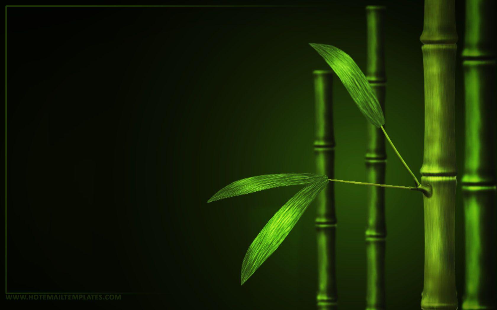 Bamboo Grove Wallpaper 4K, Green background, Green leaves, #6885