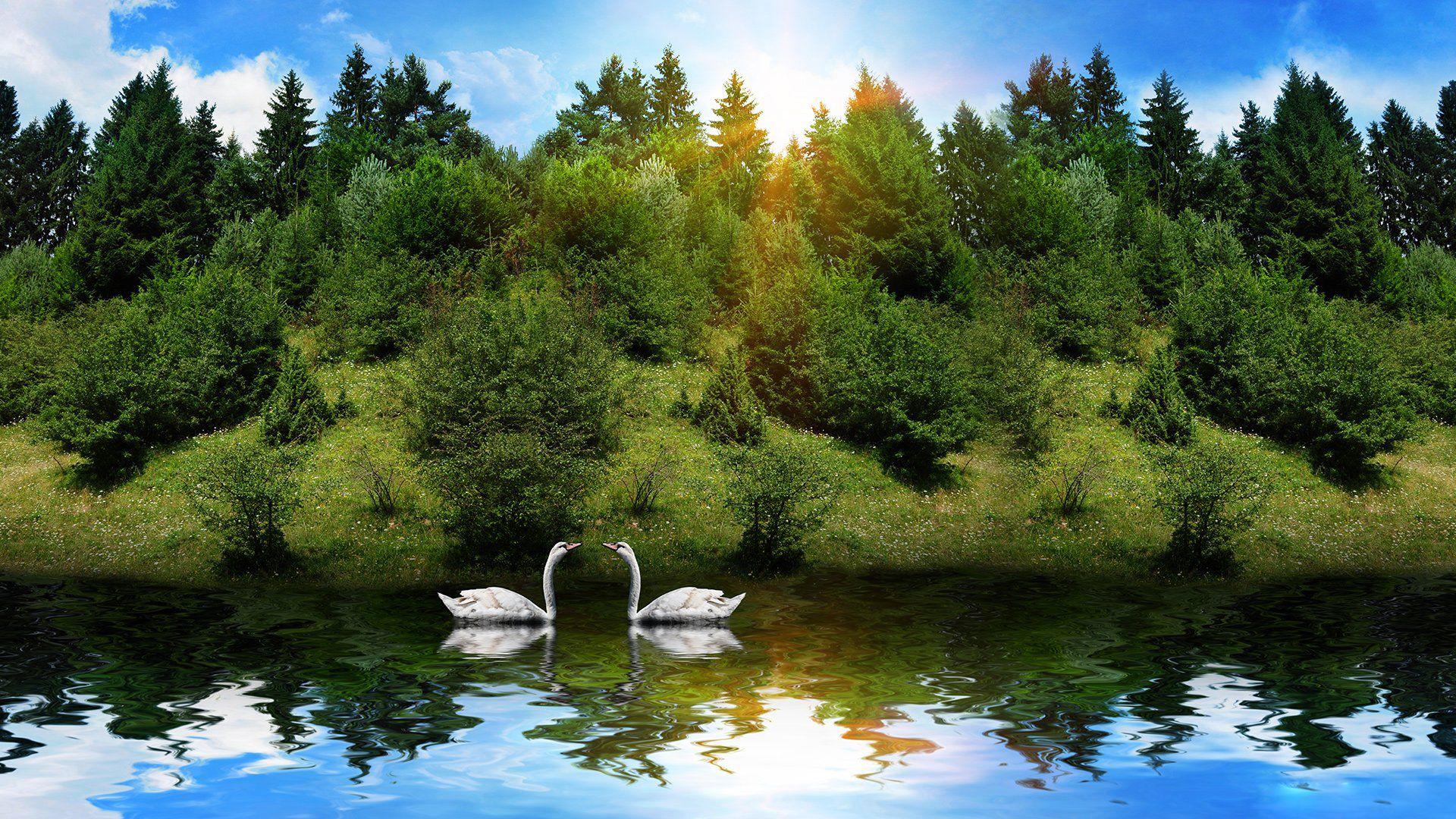 Beautiful Nature Wallpaper