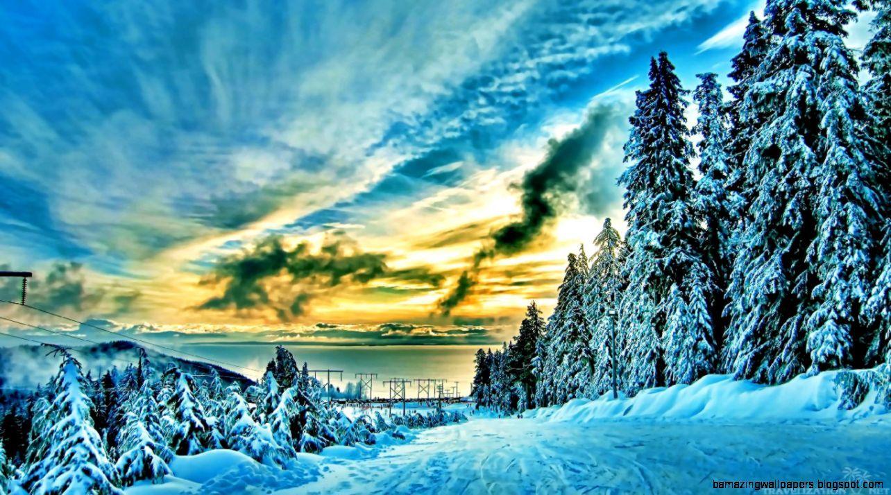 Beautiful Winter Forest Wallpaper
