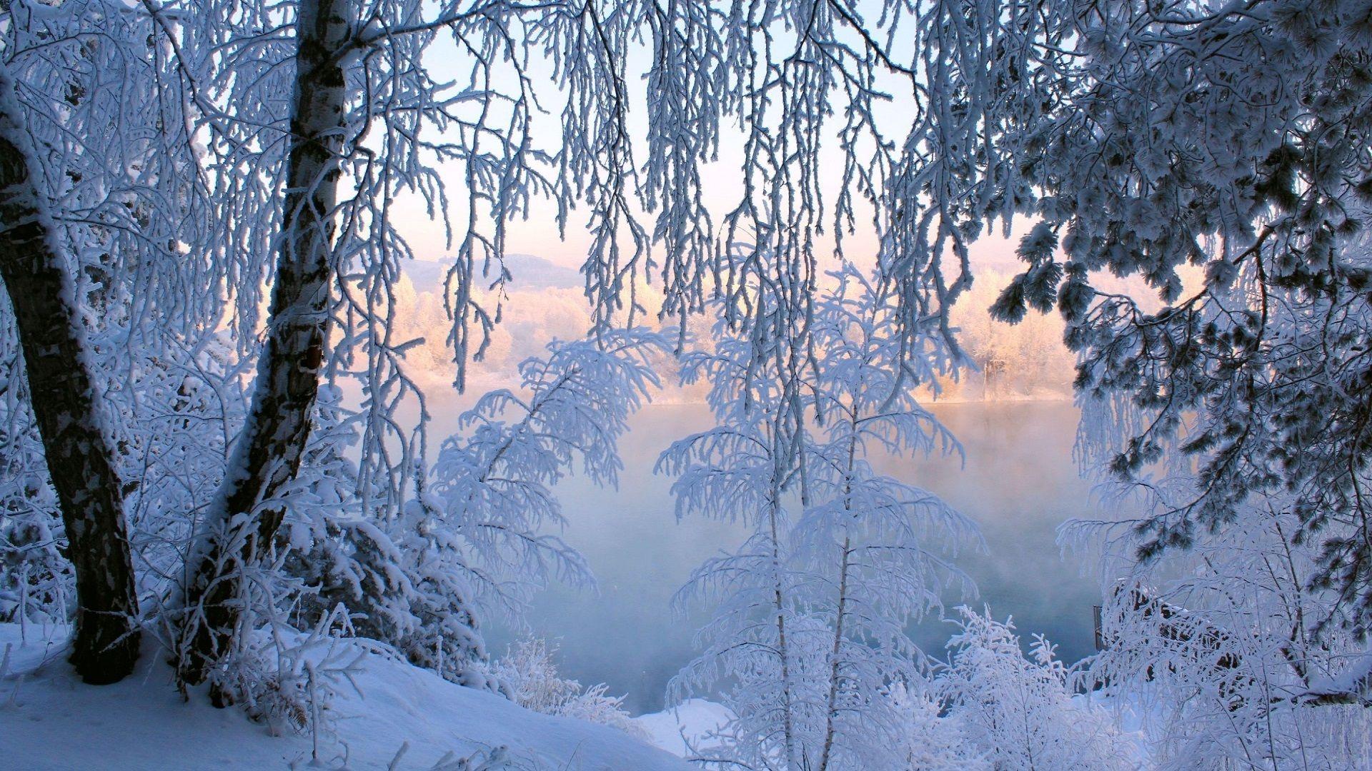 Wallpaper.wiki Beautiful Winter Snow Frost Hi Res PIC WPB0067