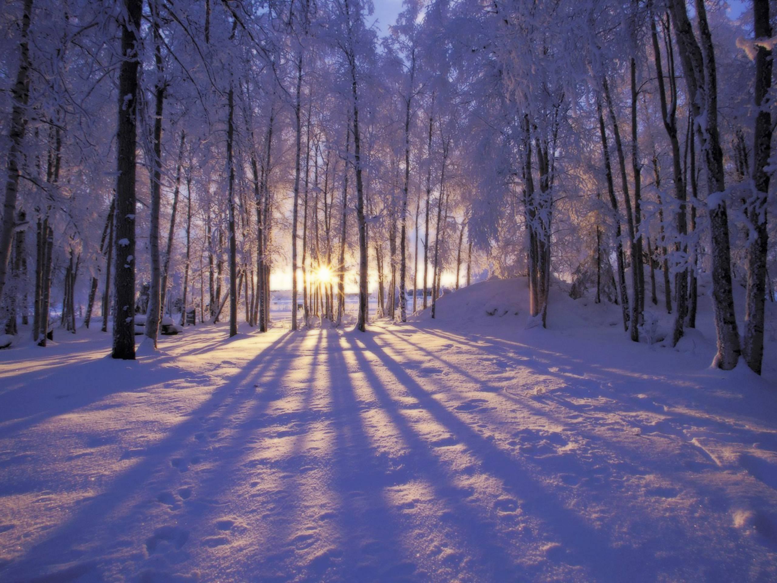 Beautiful Winter Scenery Wallpaper