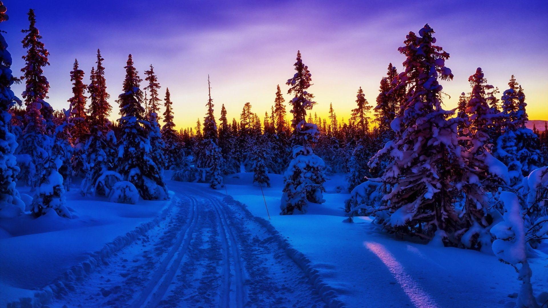 Winter Forest Snow Road Sunset desktop PC and Mac wallpaper
