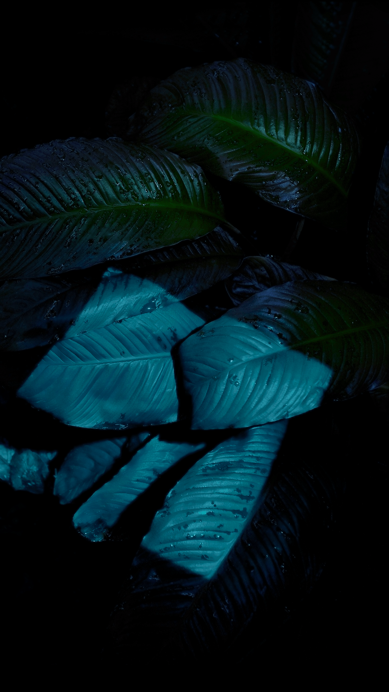 iOS 9 wallpaper 16