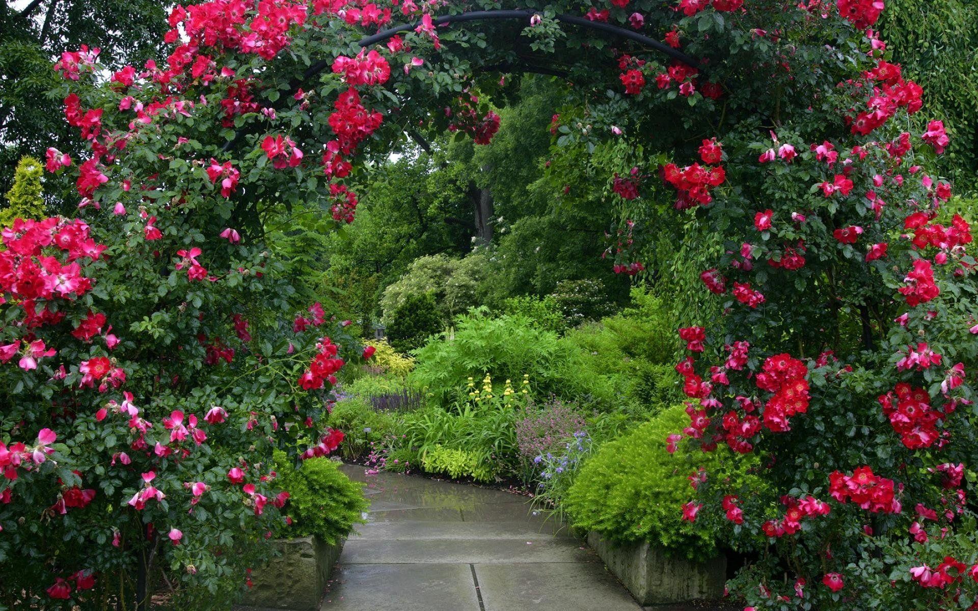 Flower Path Arch Red Flower and Rose HD Wallpaper
