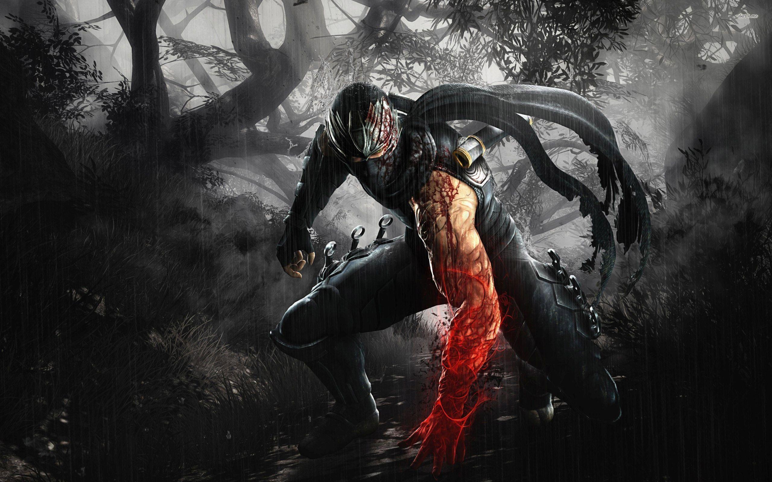 Ryu Hayabusa Gaiden 876729