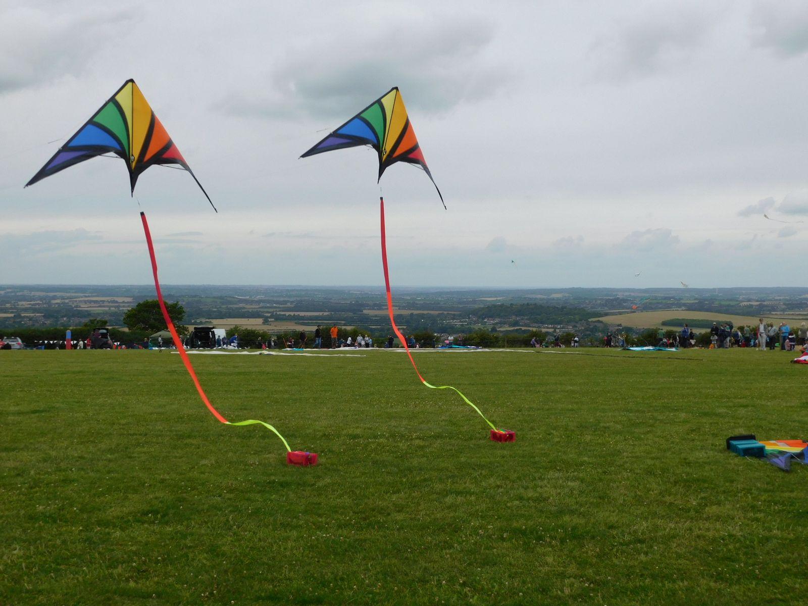 Flying Fish Kiting Team: Dunstable Kite Festival