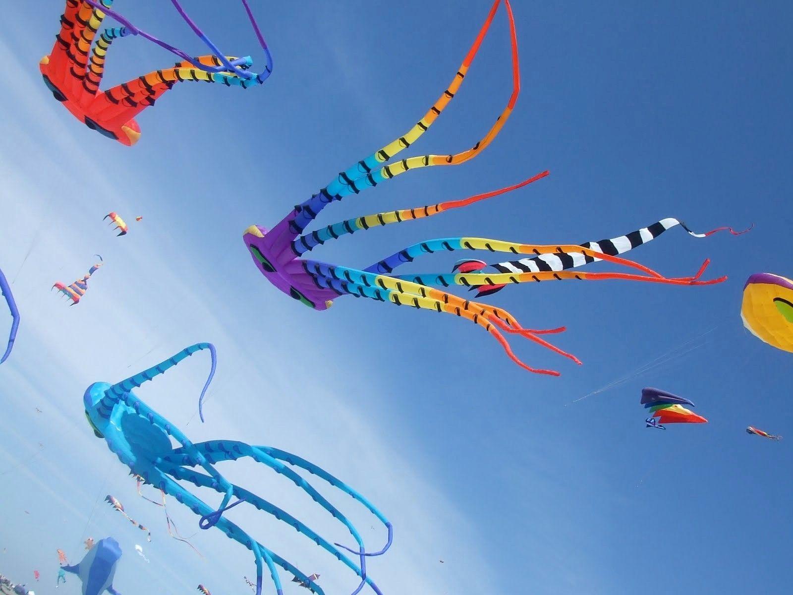 Beautiful Kite Flying in Sky