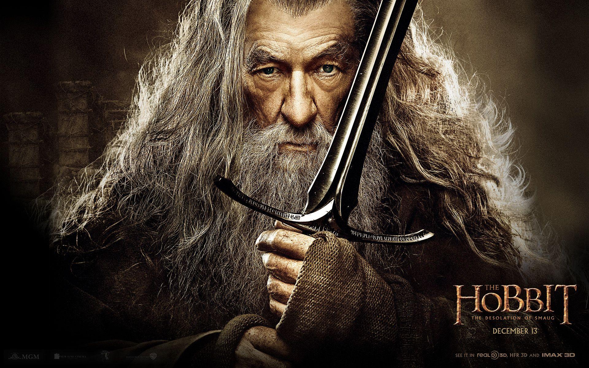 The Hobbit: The Desolation of Smaug Full HD Wallpaper and Background