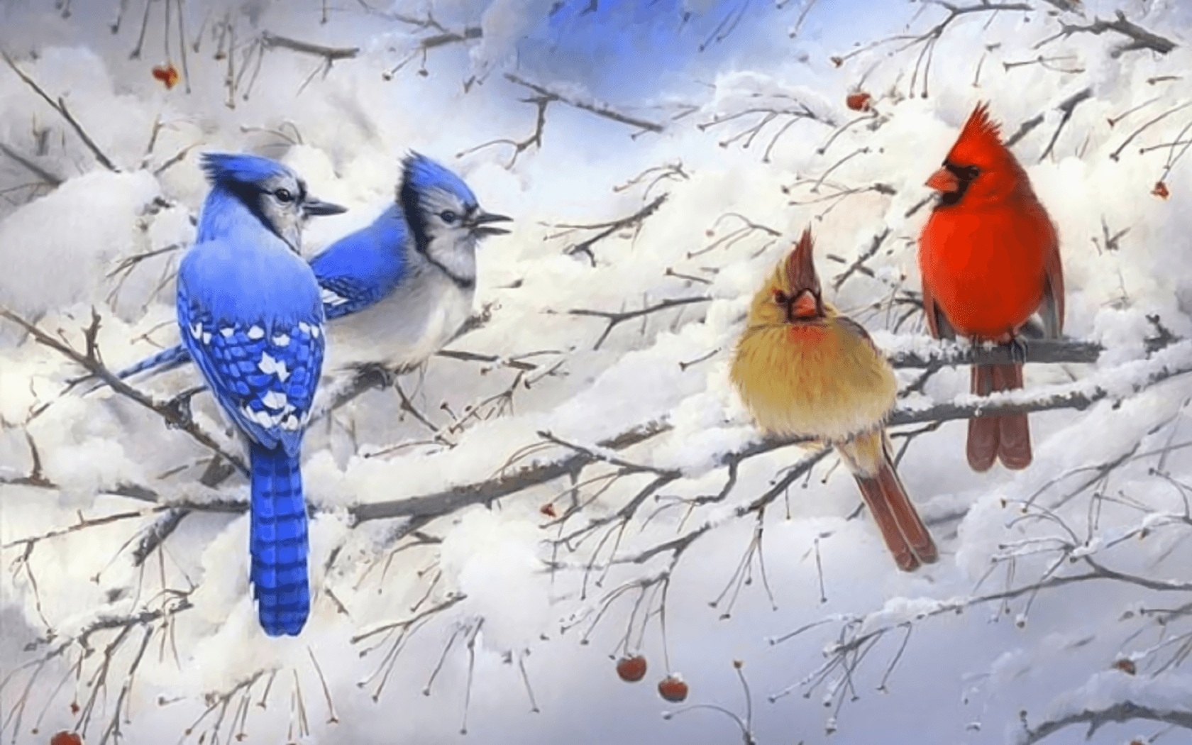 Blue Jays and Cardinals in Winter Tree Wallpaper