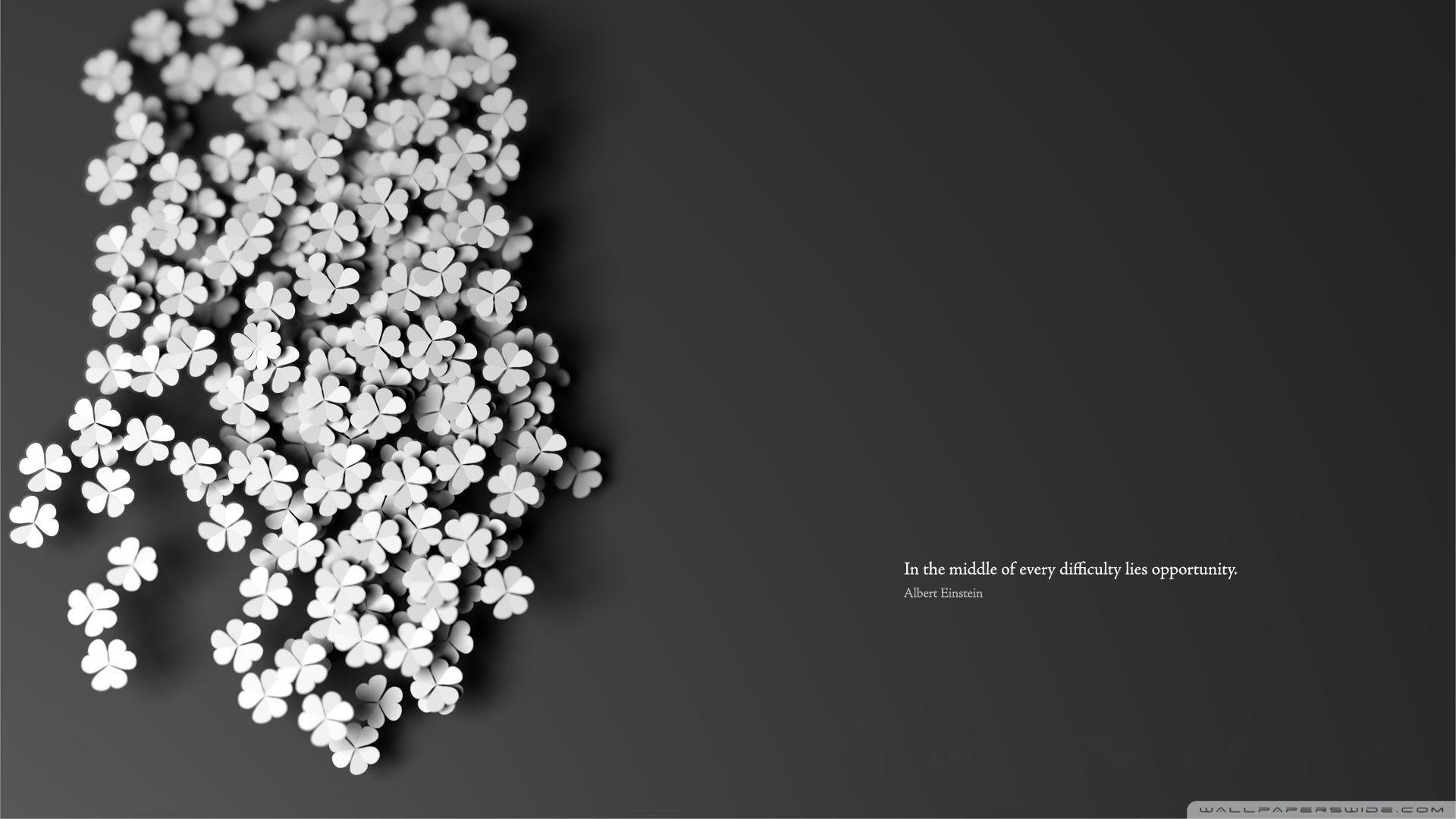 Albert Einstein Quote ❤ 4K HD Desktop Wallpaper for 4K Ultra HD TV