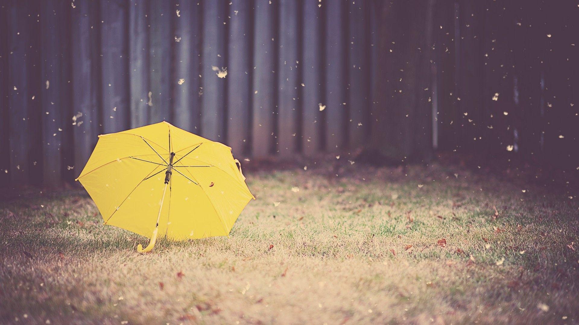 Wallpaper.wiki Amazing Yellow Umbrella Wallpaper Background PIC
