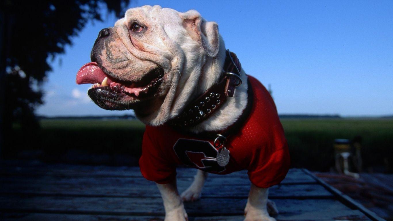Georgia Bulldogs Desktop Wallpaper WallpaperPulse 1366×768 Georgia