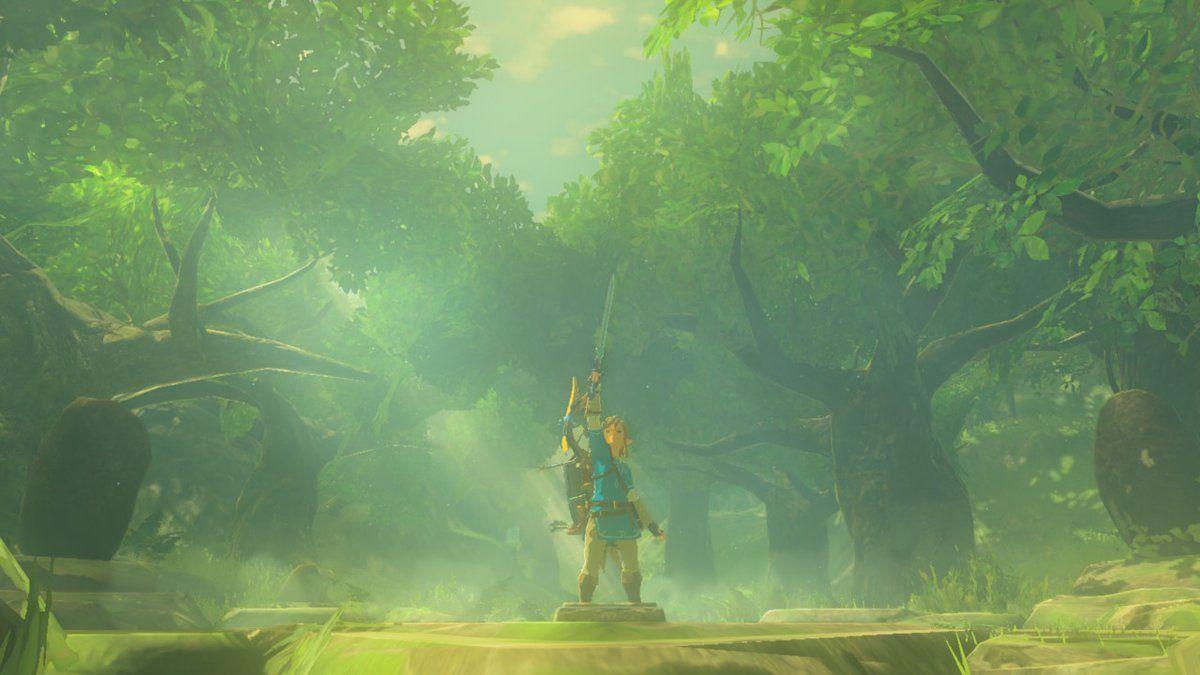 BOTW requesting higher quality image of link holding the master