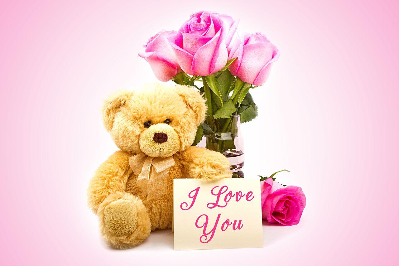 I Love You Teddy Bear Wallpapers HD Wallpapers Wallpaper Cave