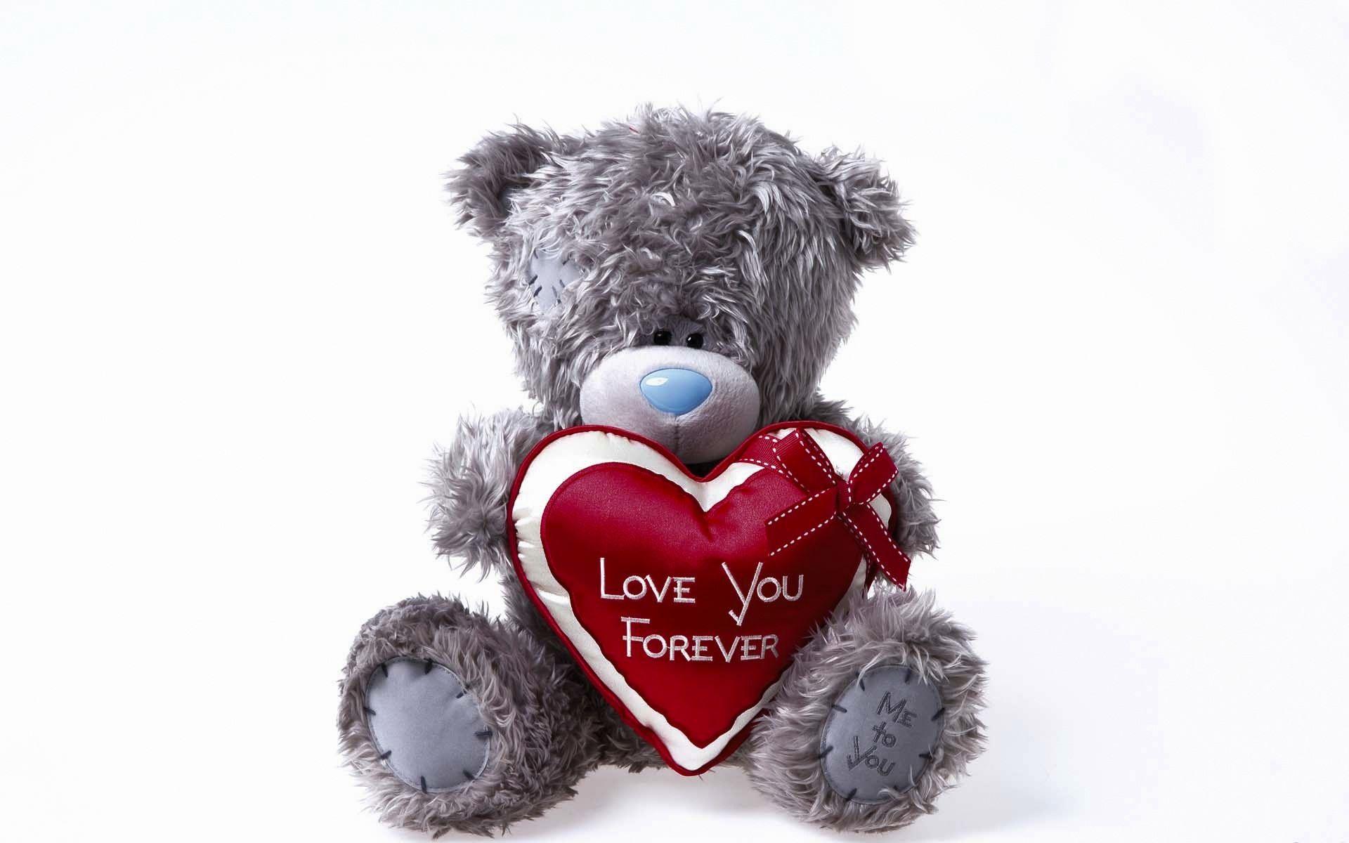 Love you forever teddy bear HD wallpaperNew HD wallpaper