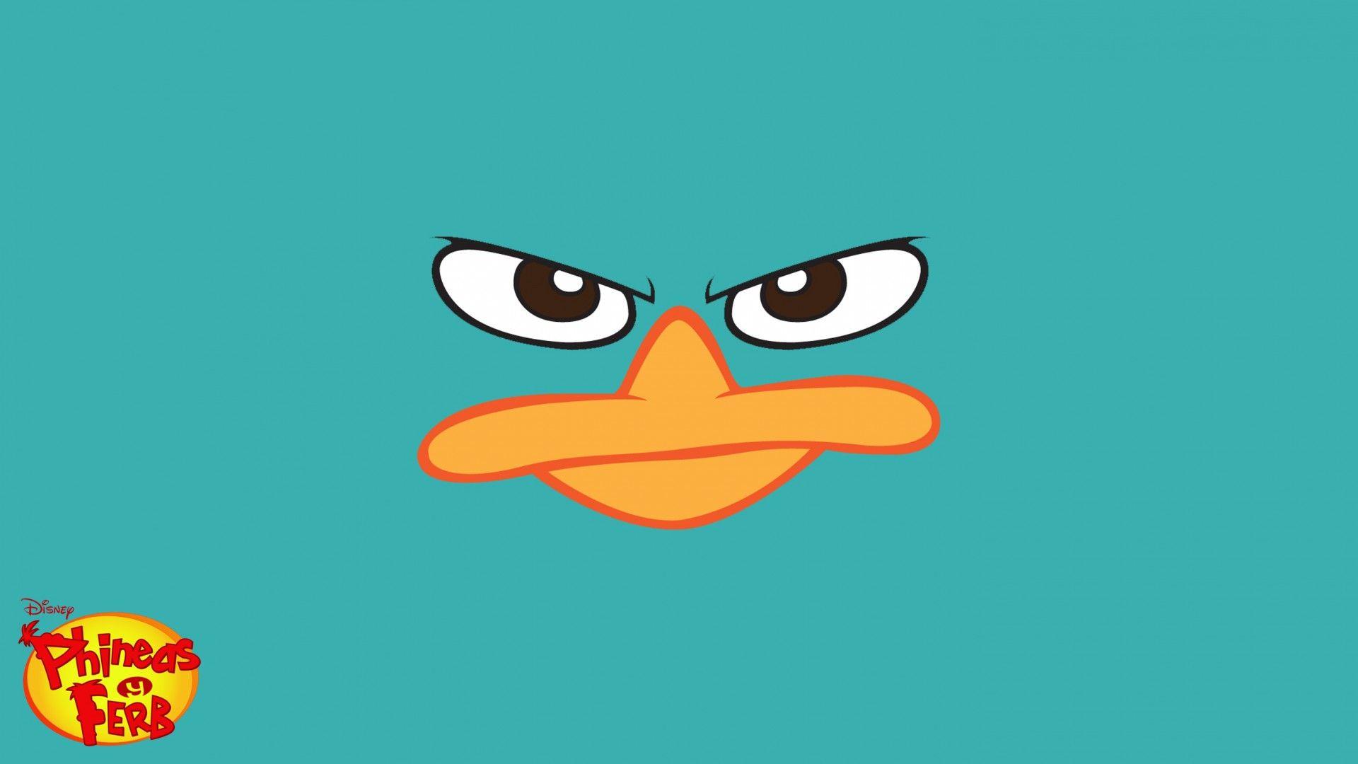 WallFocus.com. Perry the Platypus Wallpaper Search Engine