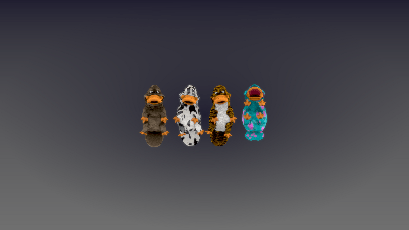 Platypus Wallpaper 10 X 900