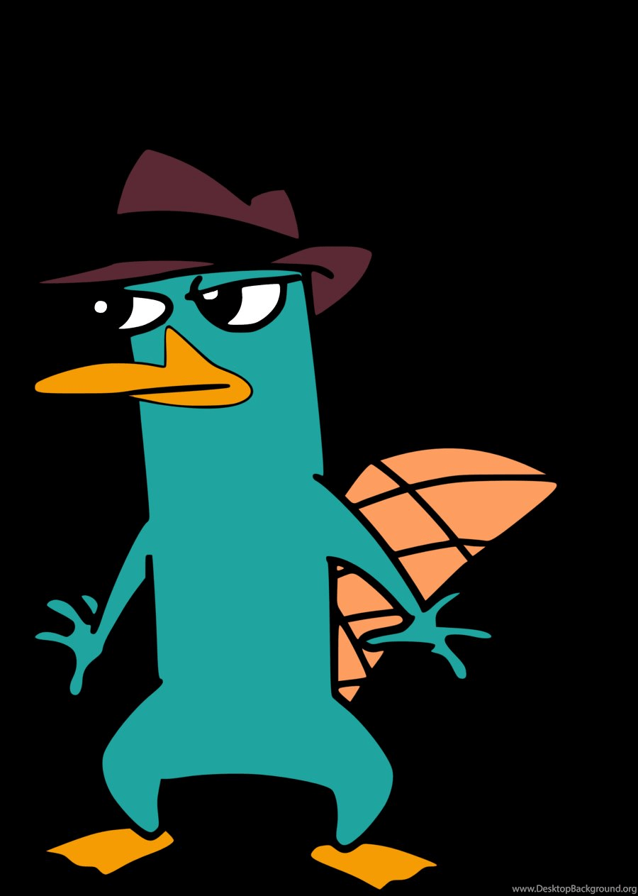 perry the platypus wallpaper