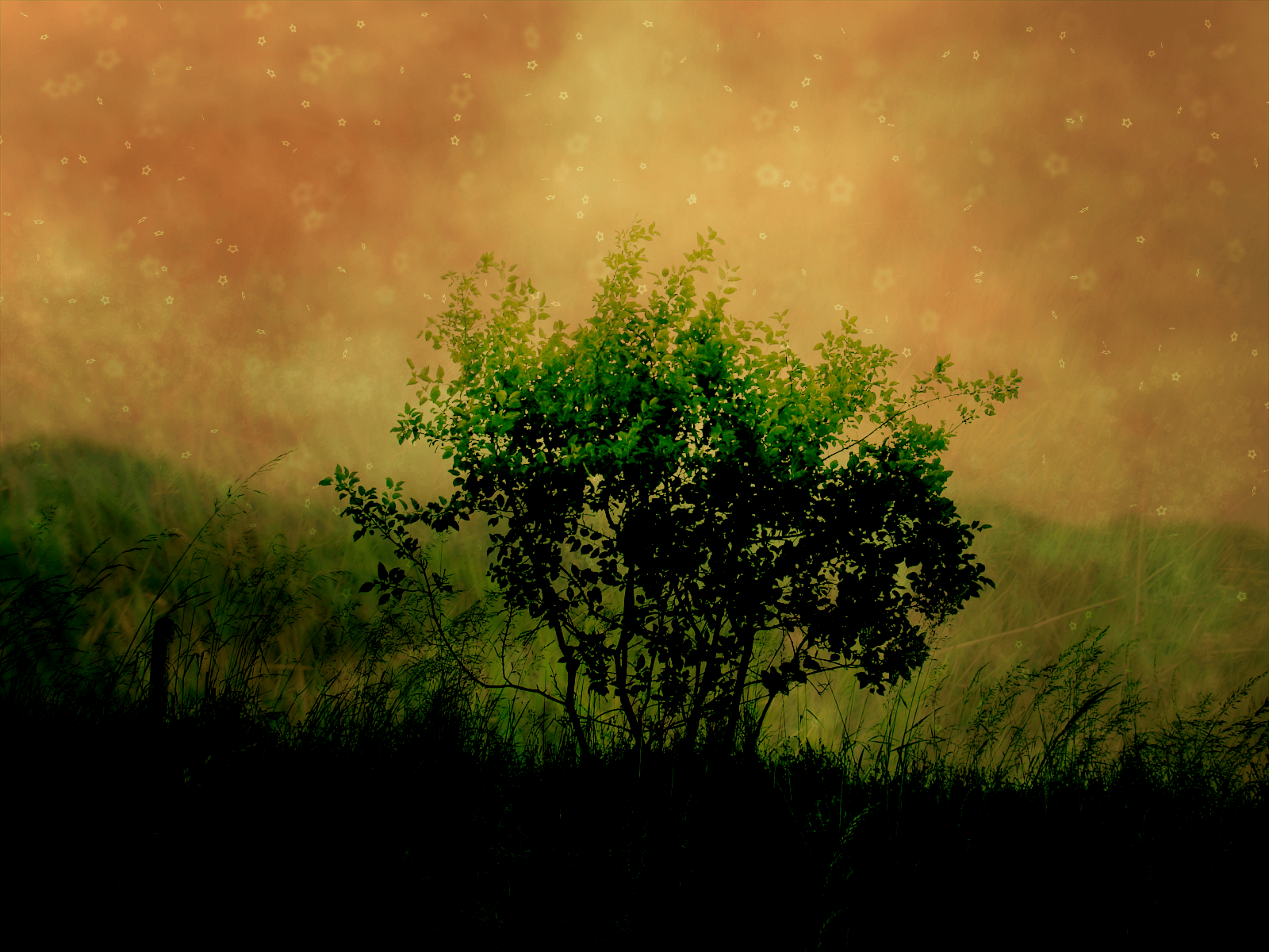 The Unofficial Ubuntu Wallpaper Archive