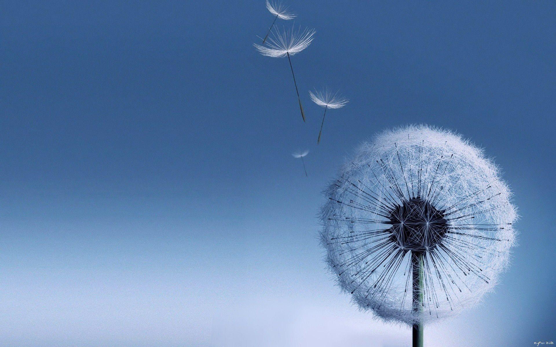 free galaxy s3 wallpaper