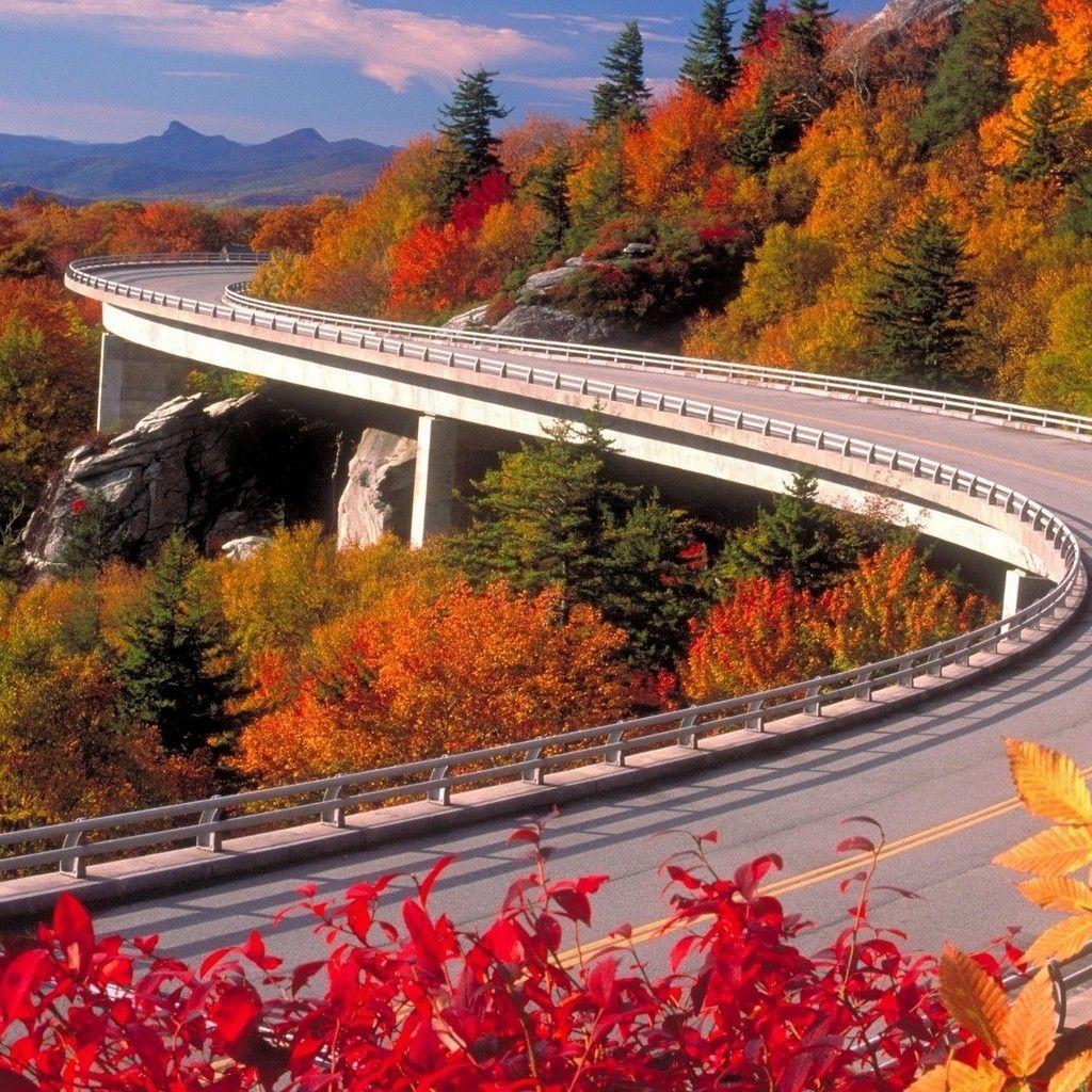 Beautiful 1024×1024 HD Wallpaper for Tablets