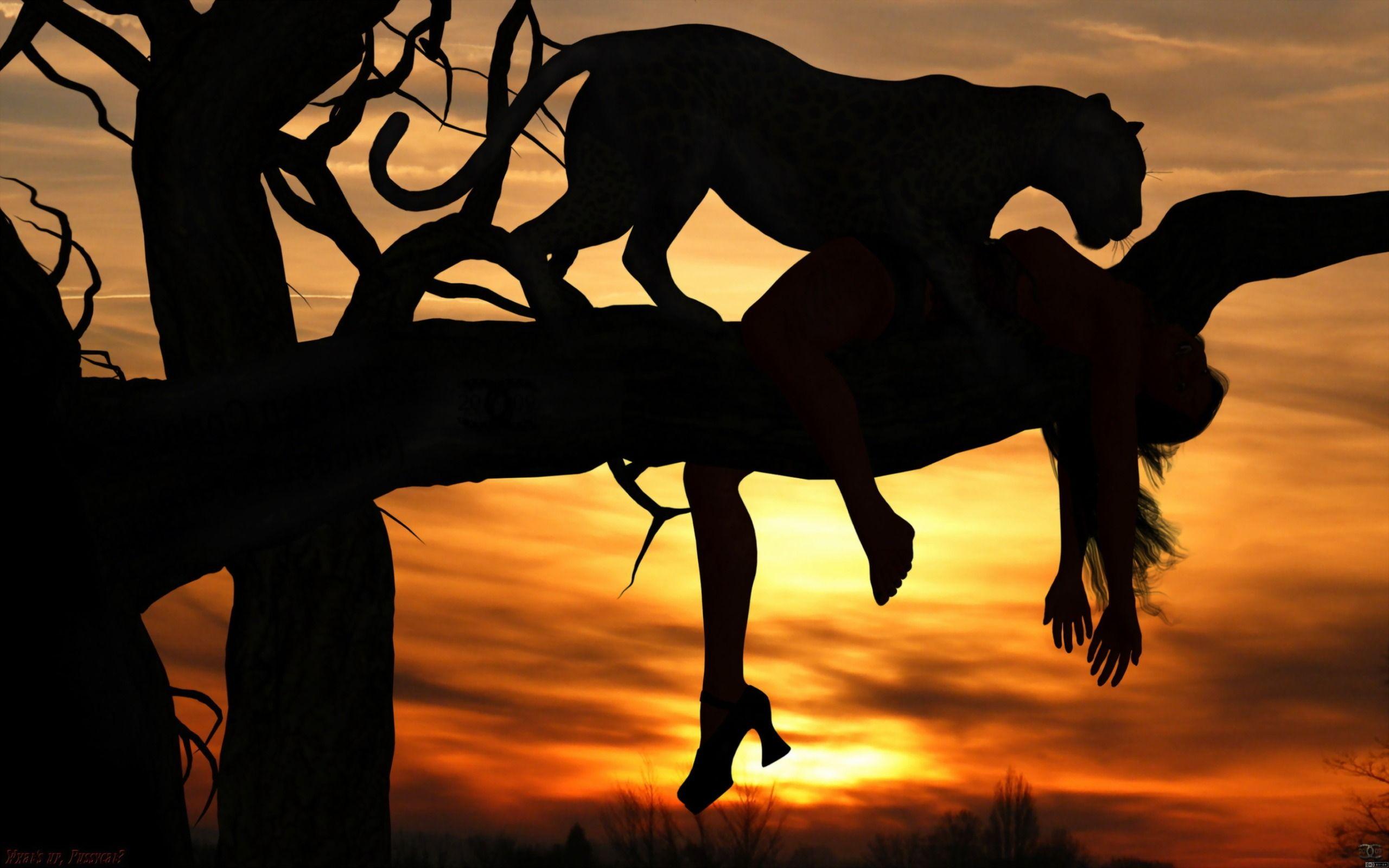 Tragedy in Africa: Leopards Revenge Full HD Wallpaper and Background