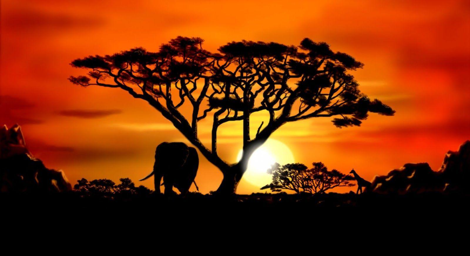 African Landscape Wallpaper