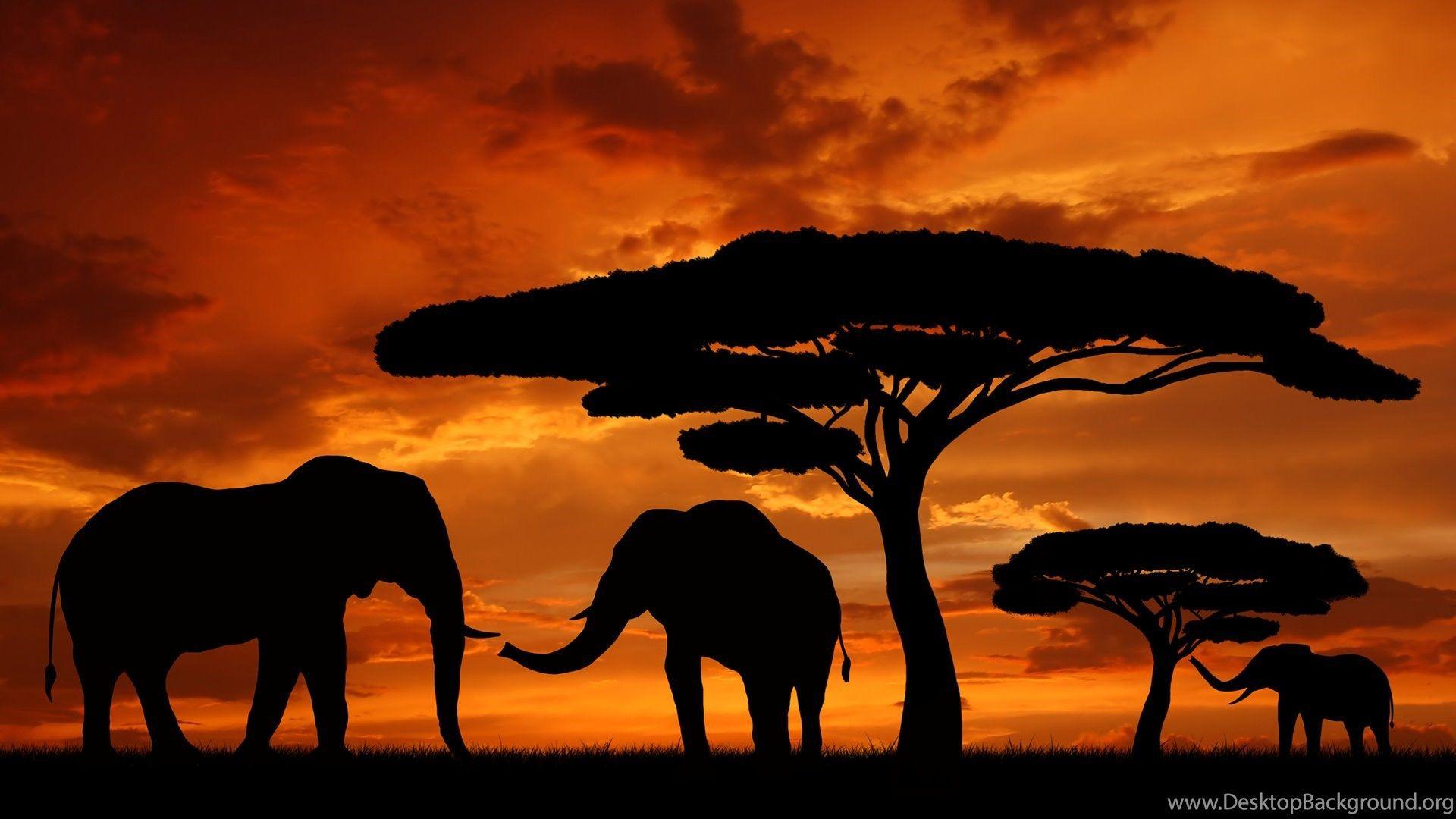 African Sunset Wallpaper Desktop Background