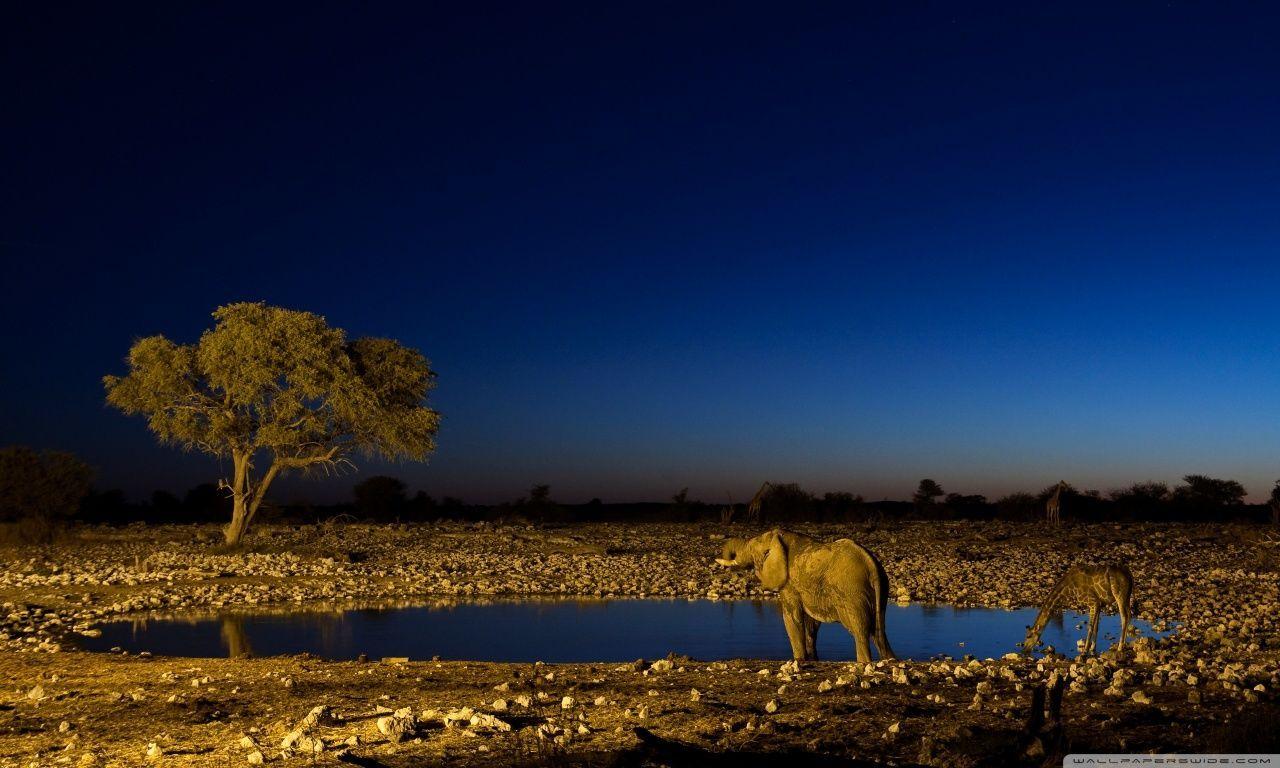 Africa Wallpaper HD. (30++ Wallpaper)