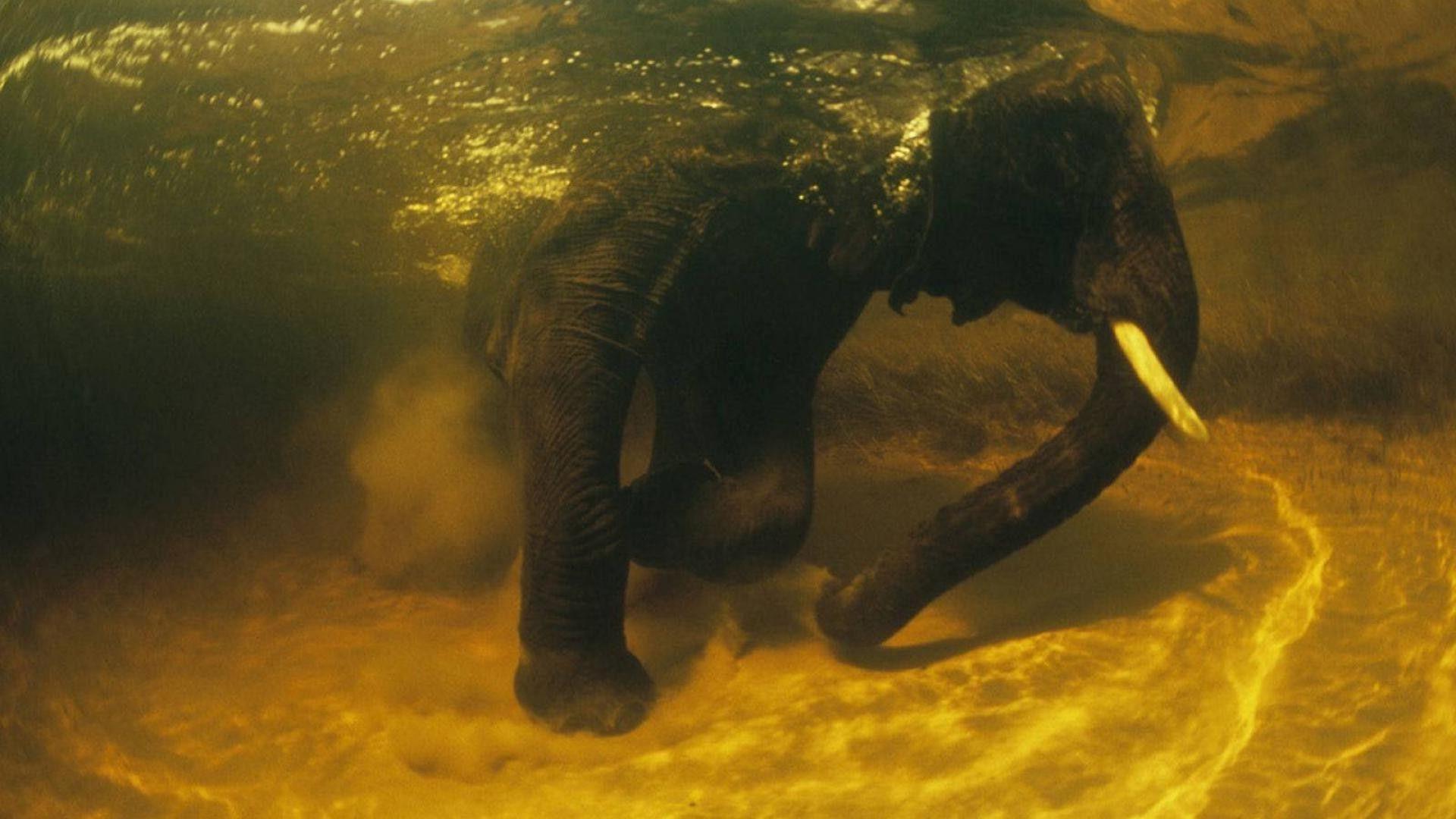 Africa Wallpaper HD. (30++ Wallpaper)