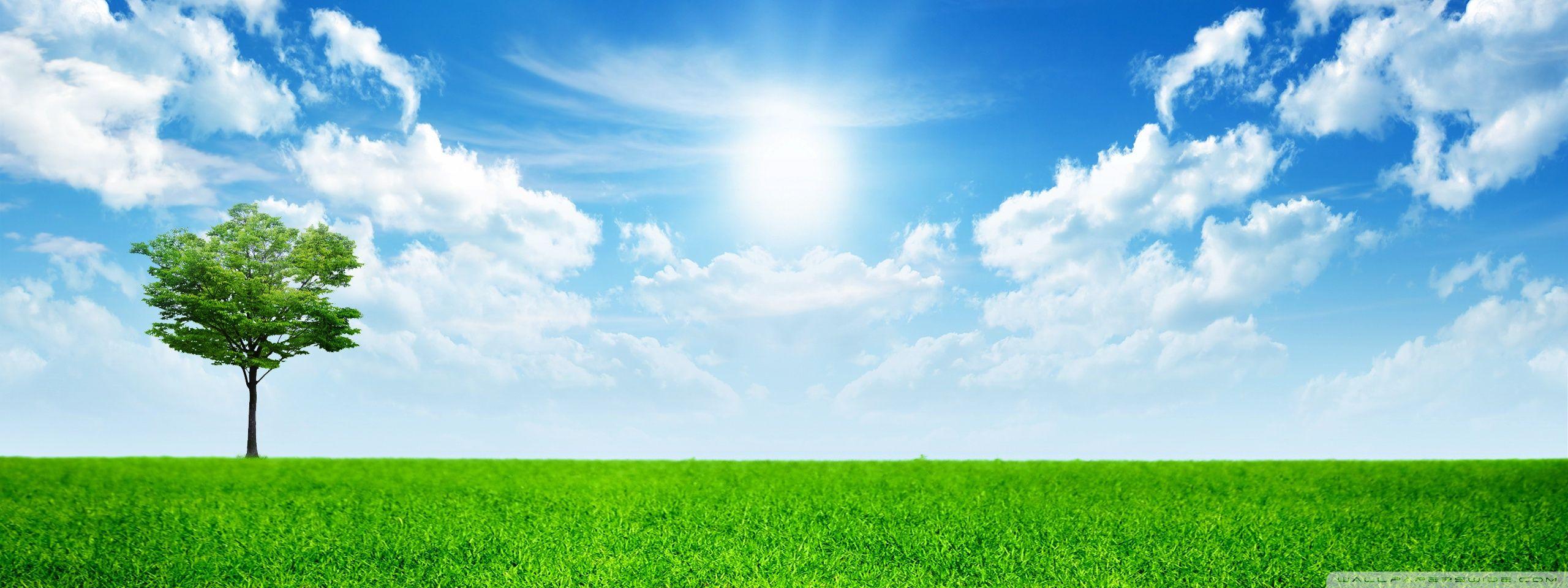 Green Nature ❤ 4K HD Desktop Wallpaper for • Dual Monitor Desktops