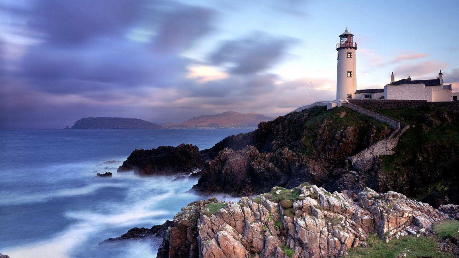 Cat Love: ireland background