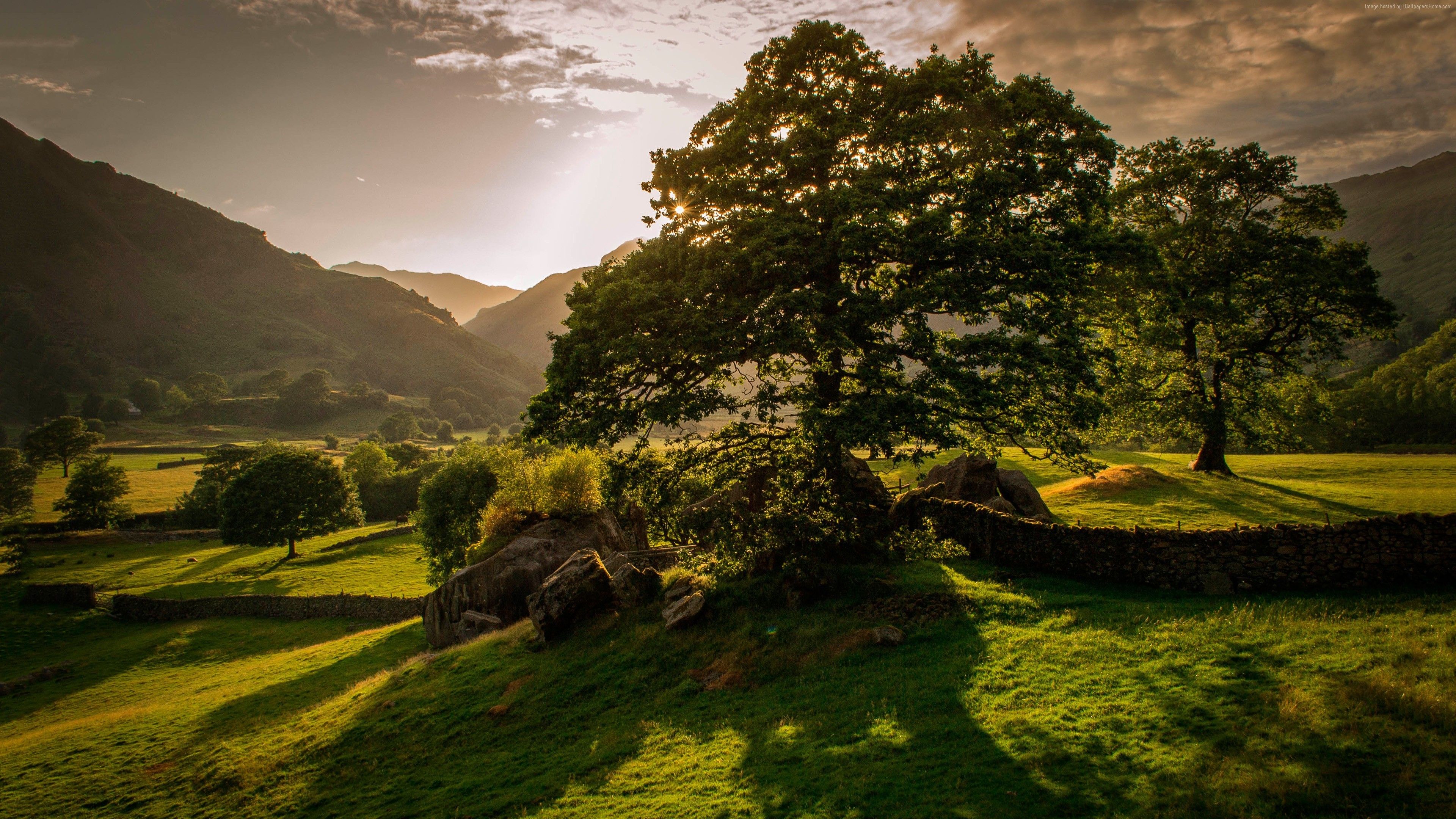 Best Ireland Nature Wallpaper Background Desktop WALLPAPER HD