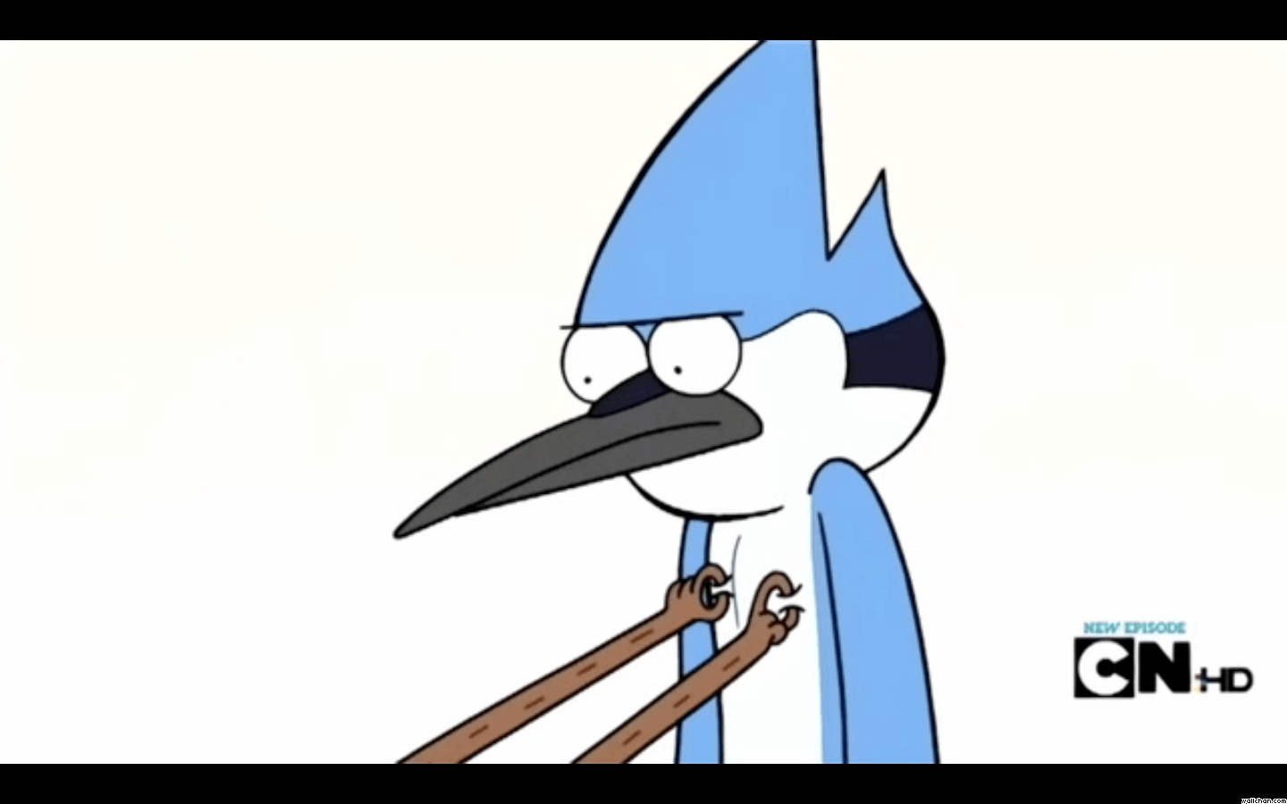 OQL:848 Show Wallpaper, Regular Show HD Wallpaper