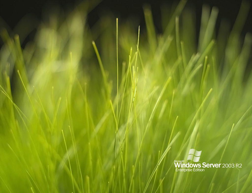 Windows Server 2003, Greengrass Desktop Theme < Computers