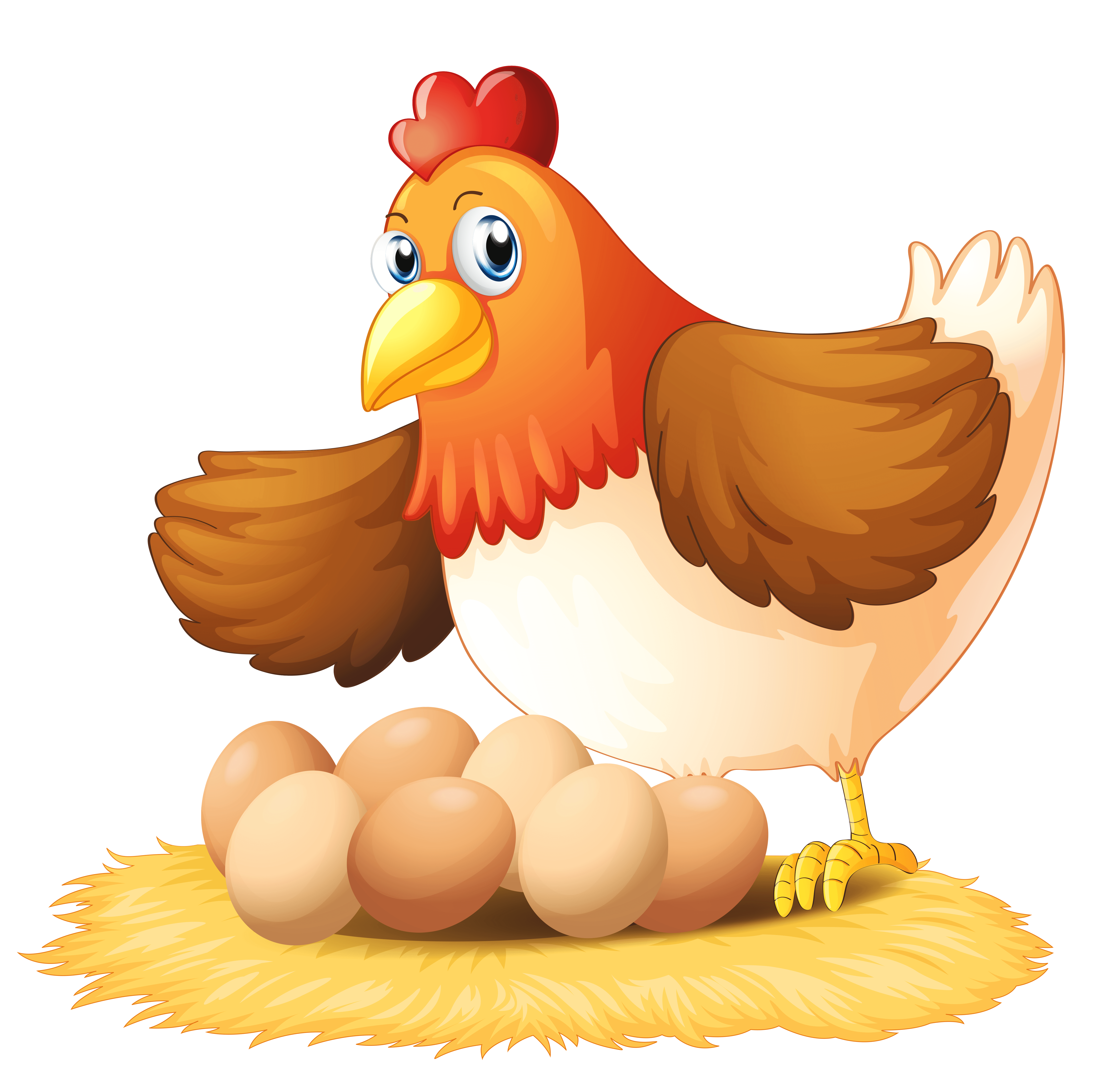 Collection of Chicken Clipart Transparent Background. High