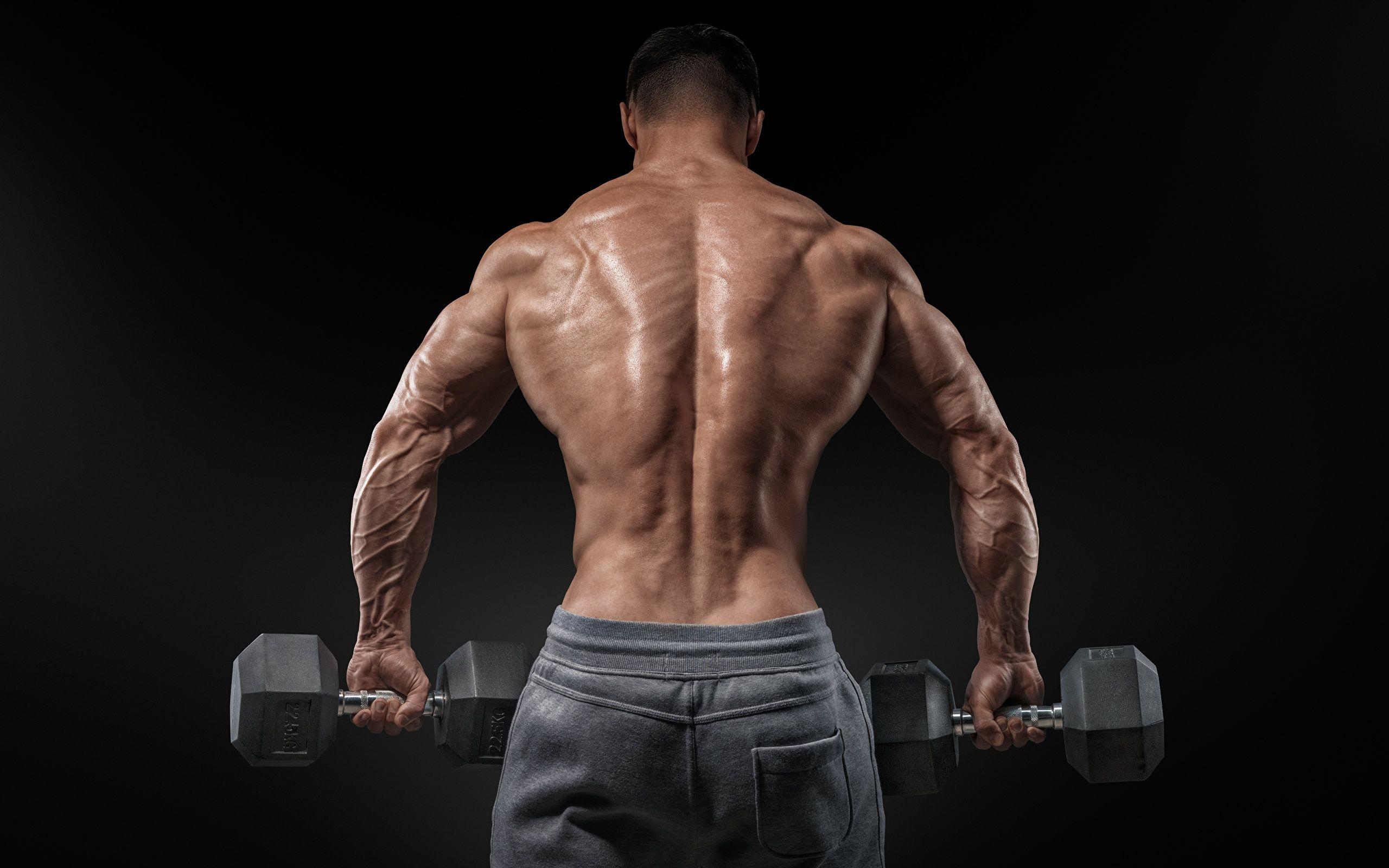 Photos Men Muscle Human back Sport Dumbbells Bodybuilding 2560x1600