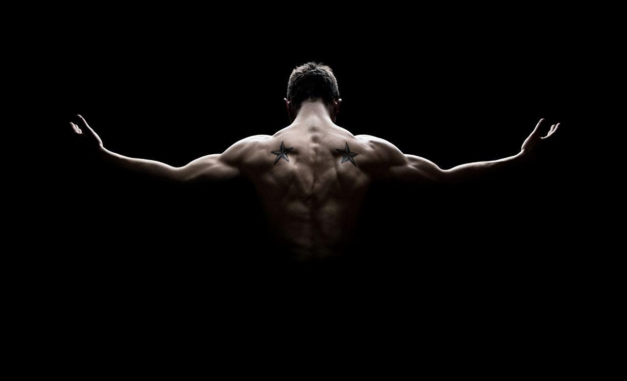 Muscle Wallpapers Wallpaper Cave
