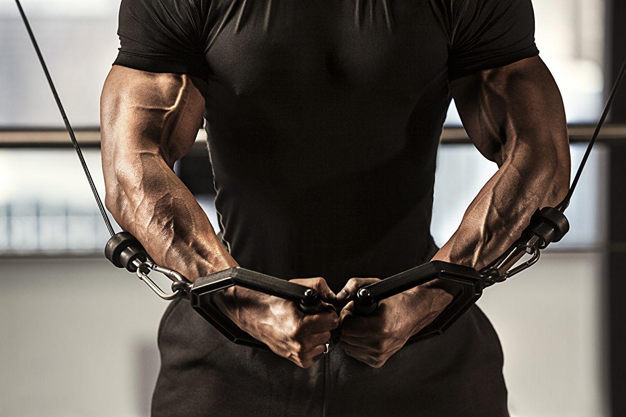 Wallpaper Man Muscle Workout T Shirt Muscles Arms Sport Bodybuilding