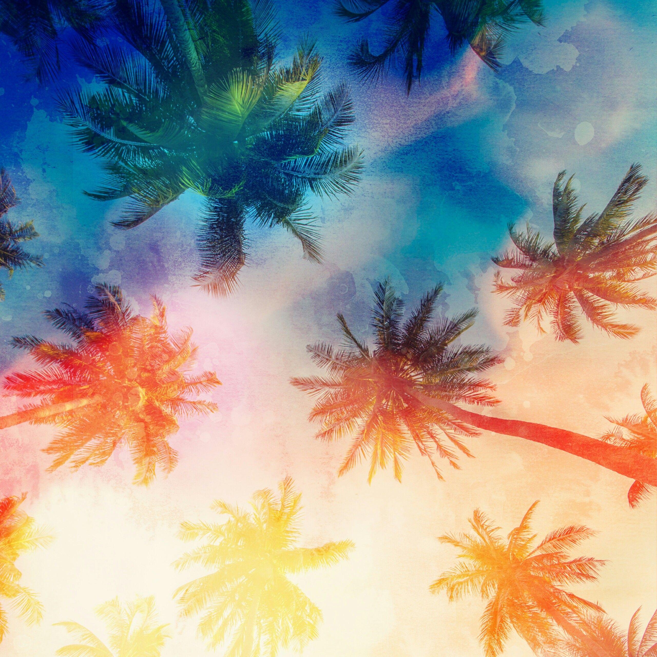Palm Trees Abstract QHD Wallpaper