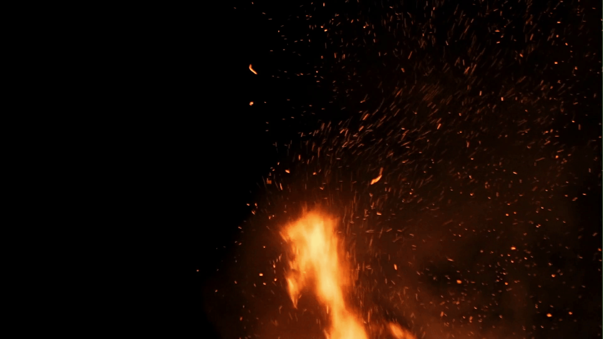 Fire flames with sparks on a black background Stock Video Footage