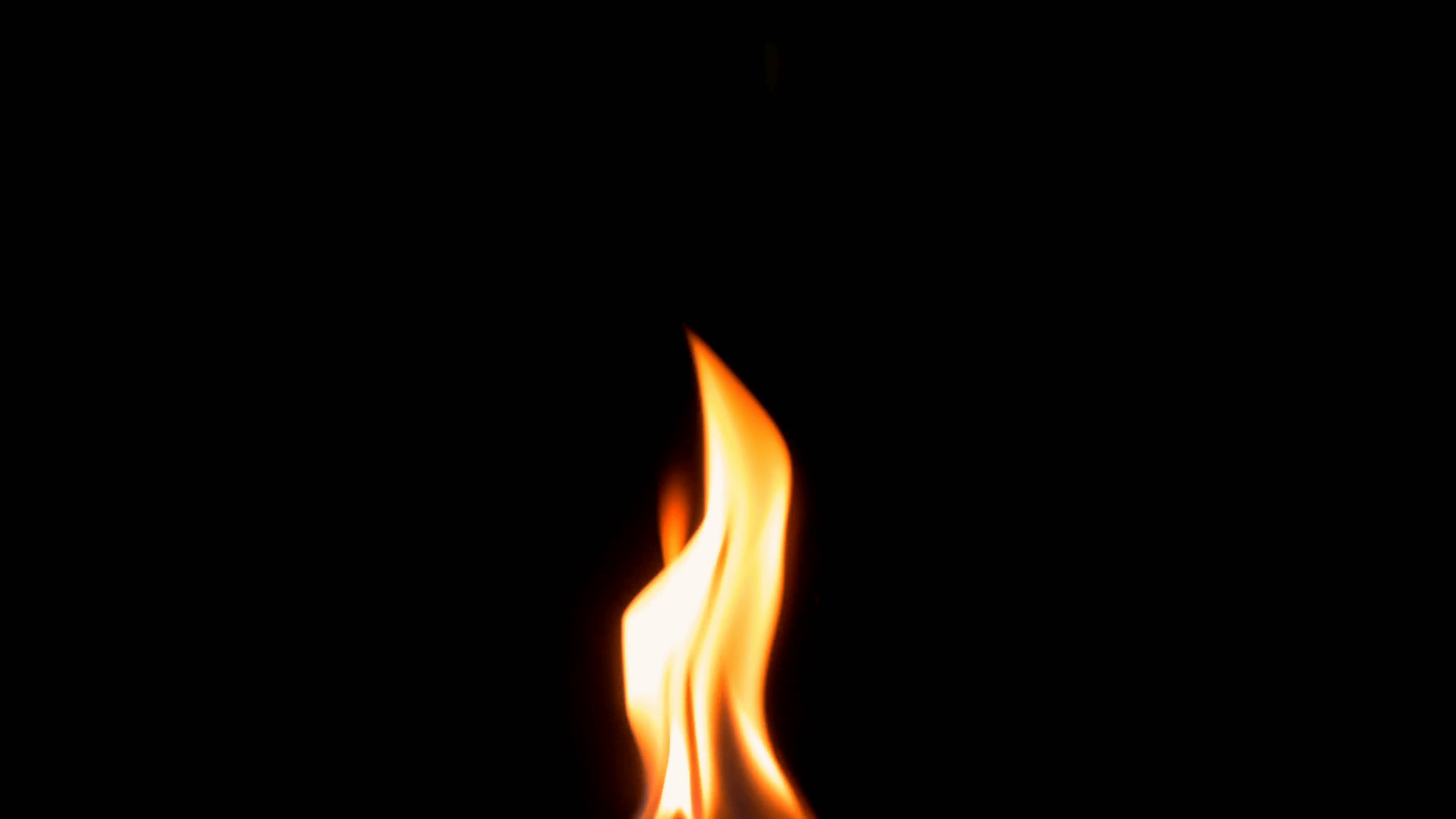 Natural burning fire flame on the black background. Red and yellow