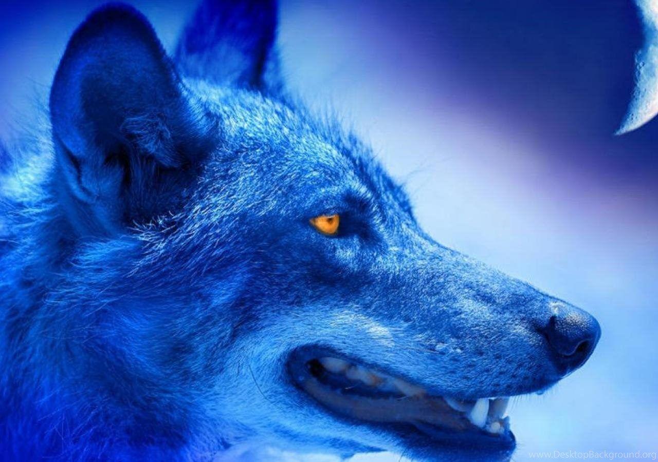 ALPHA WOLF WALLPAPER Desktop Background