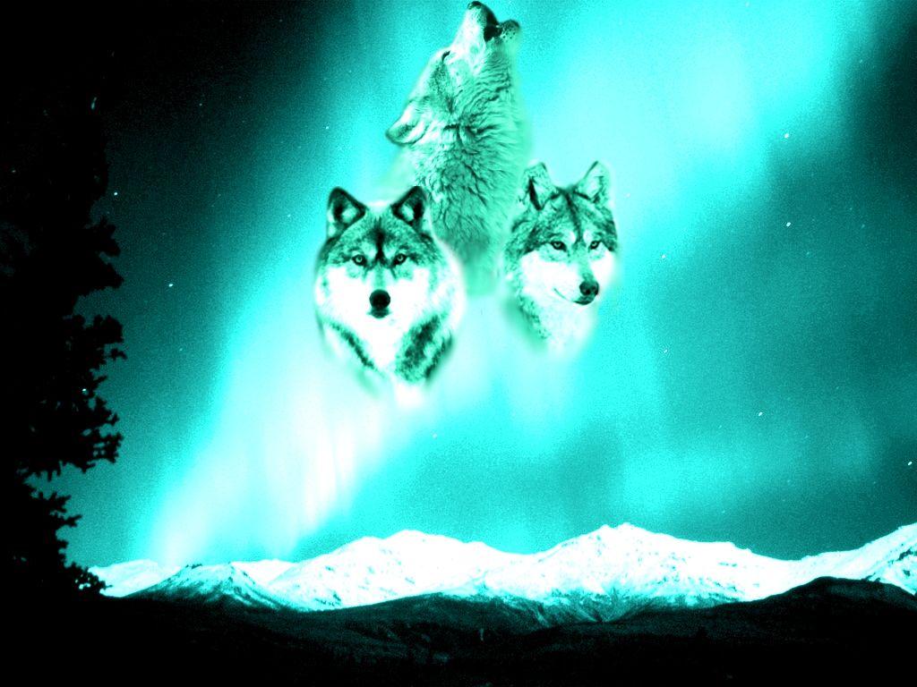 Northern Lights Wolf Spirits By Alpha Wolf Sparrow