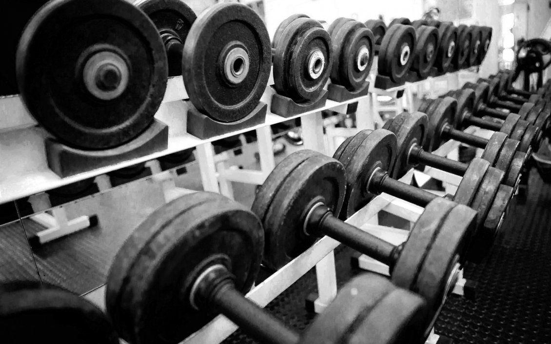 Dumbbells in a gym
