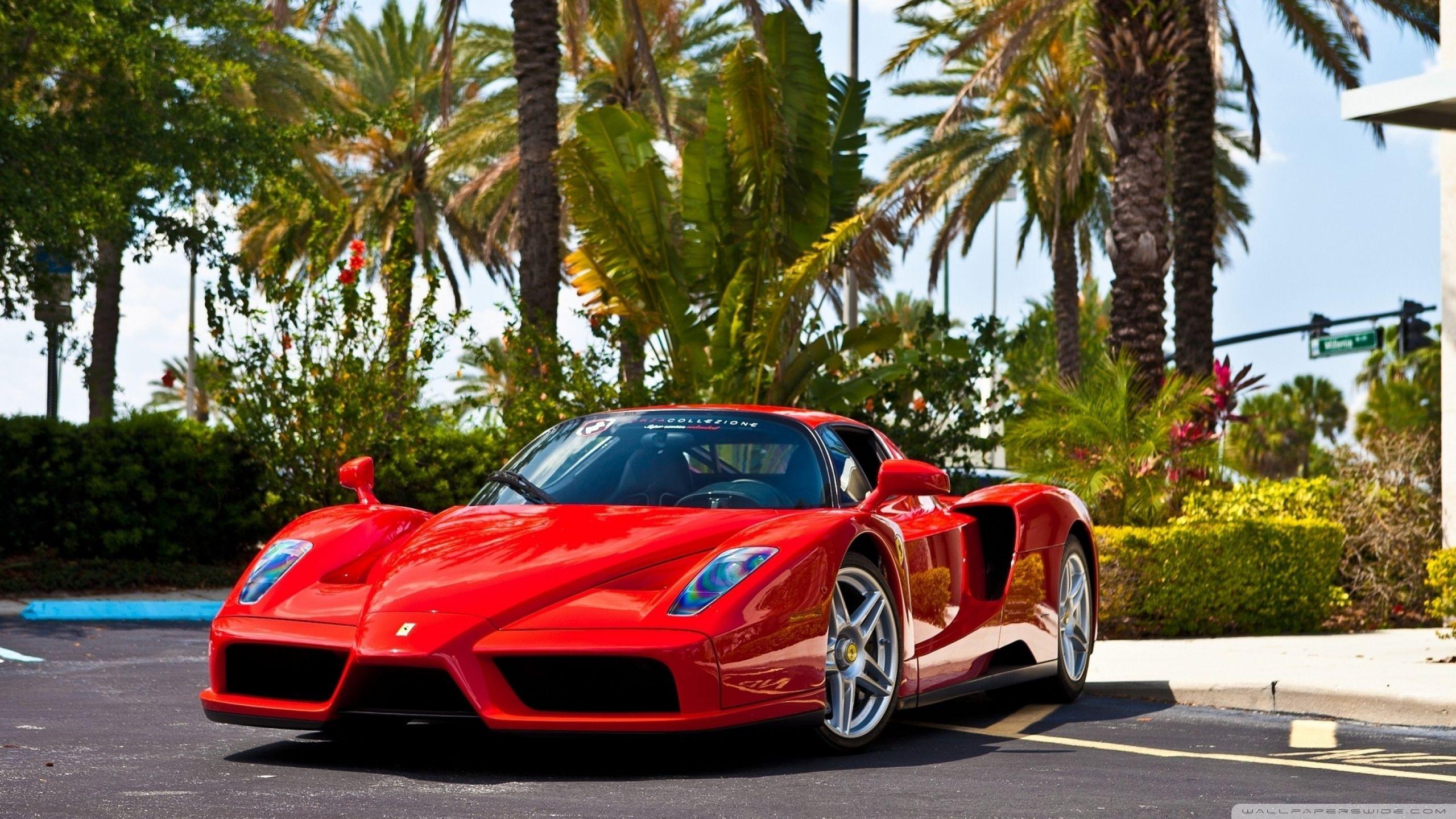 Red Ferrari Enzo Supercar ❤ 4K HD Desktop Wallpaper for 4K Ultra HD